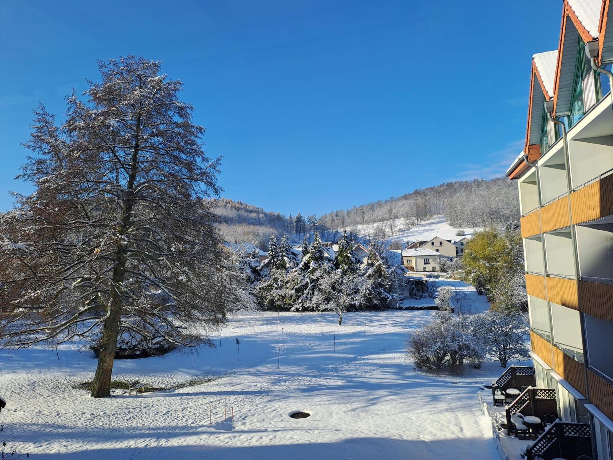 Waldhotel Baerenstein Horn-Bad Meinberg Eksteriør bilde